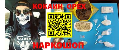 крисы Будённовск