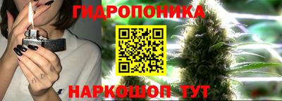 крисы Будённовск