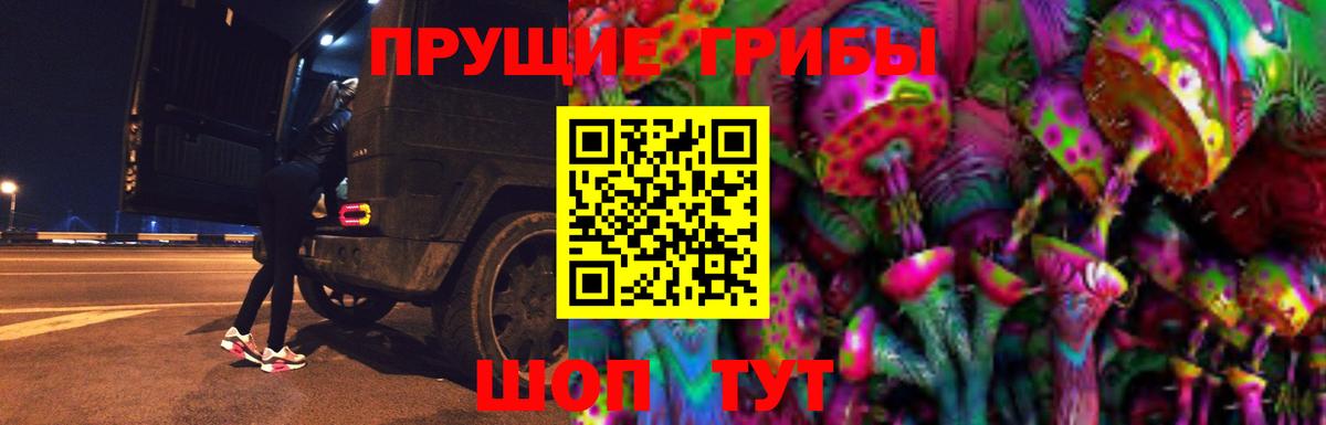 Псилоцибиновые грибы Cubensis Мурино
