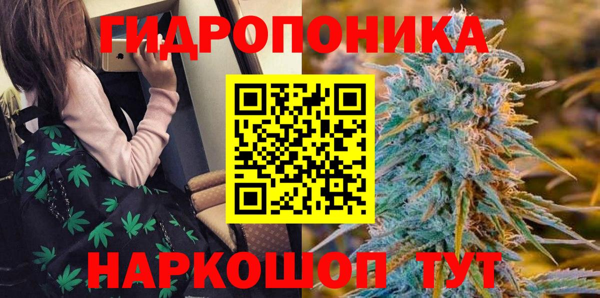 Марихуана MAZAR  Каннабис OG Kush  Мурино  Марихуана индика  Вход с VPN 